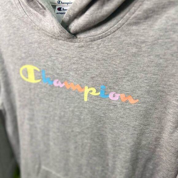 Champion Light Gray Hoodie with Colorful Logo Size Small - Picture 3 of 16